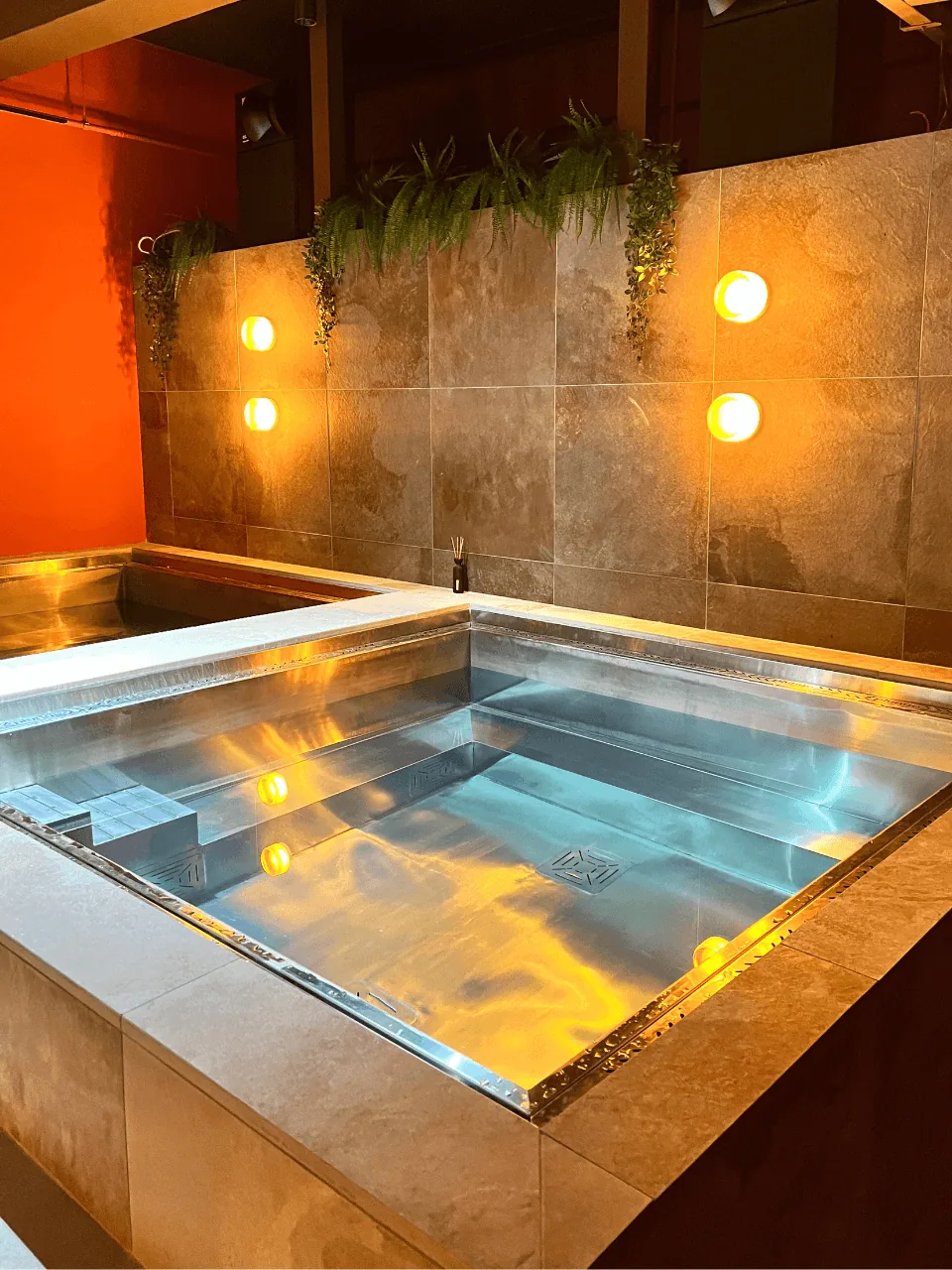 Cold Plunge Recovery